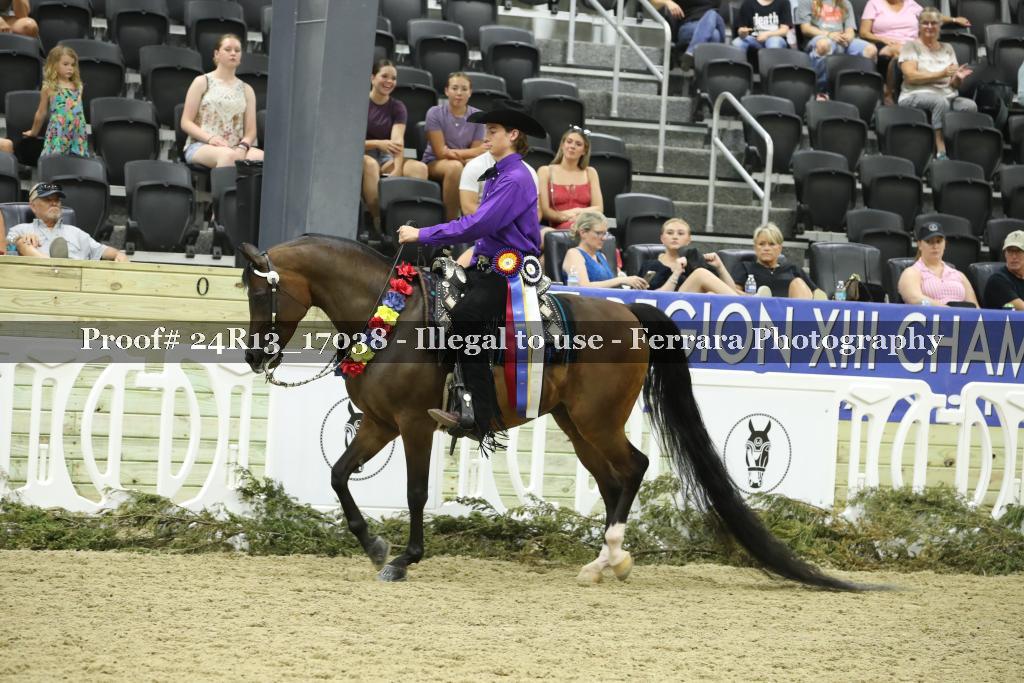 Proof 24R13_17038