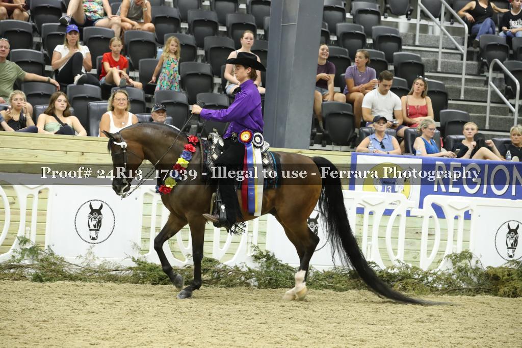 Proof 24R13_17039