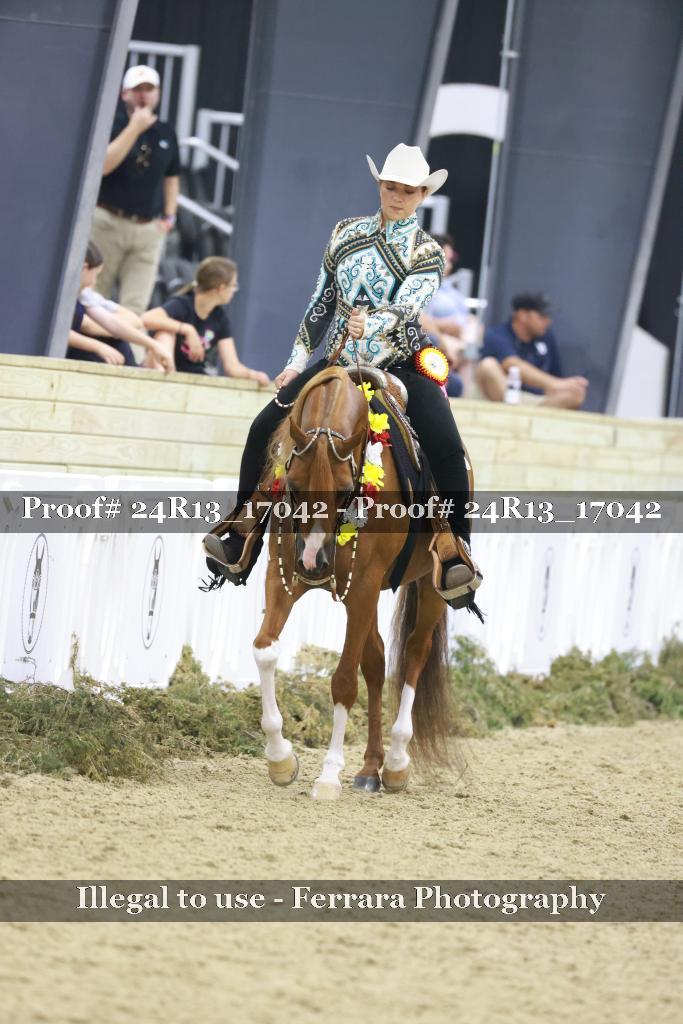 Proof 24R13_17042
