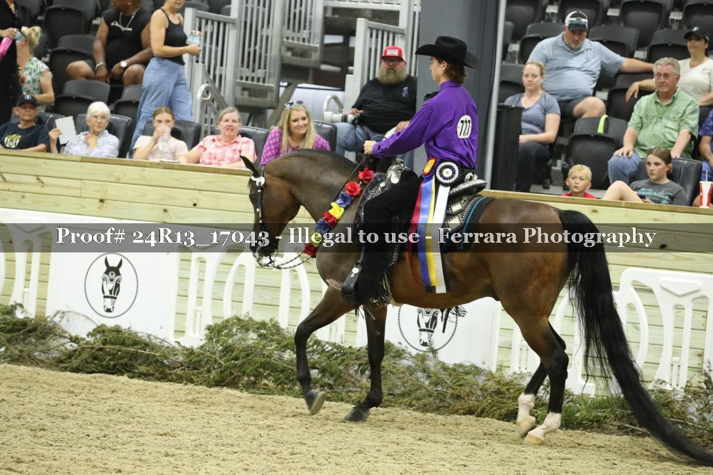 Proof 24R13_17043