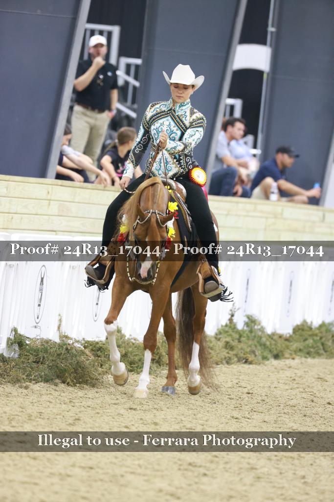 Proof 24R13_17044