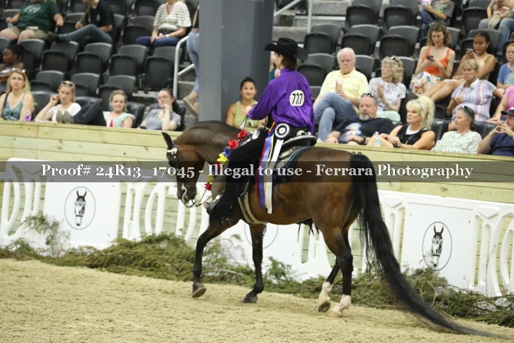 Proof 24R13_17045