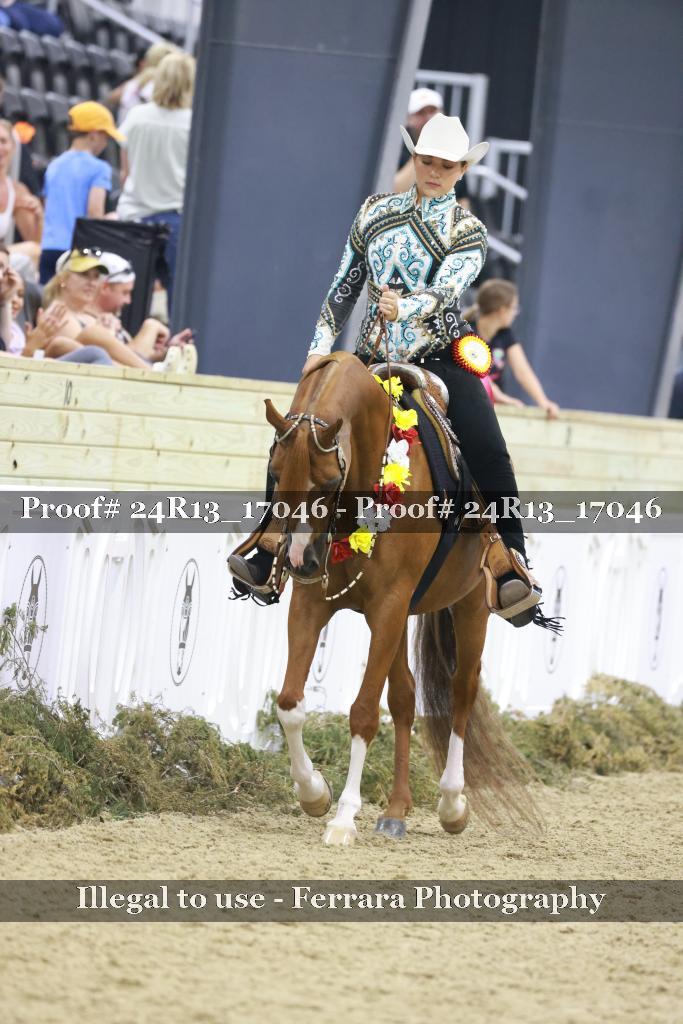 Proof 24R13_17046
