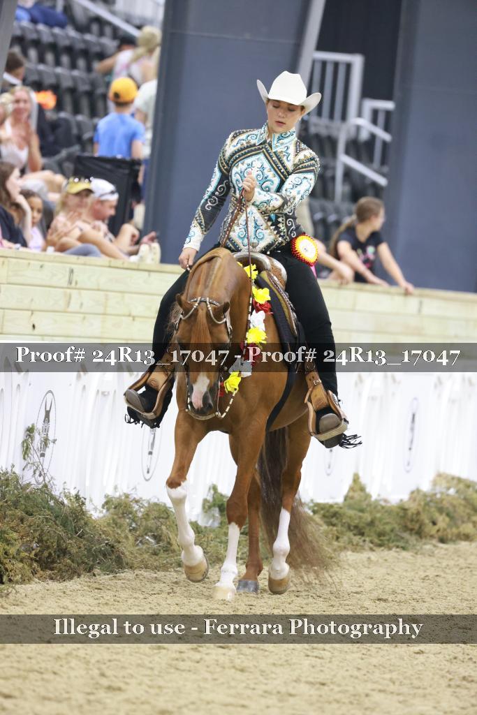 Proof 24R13_17047