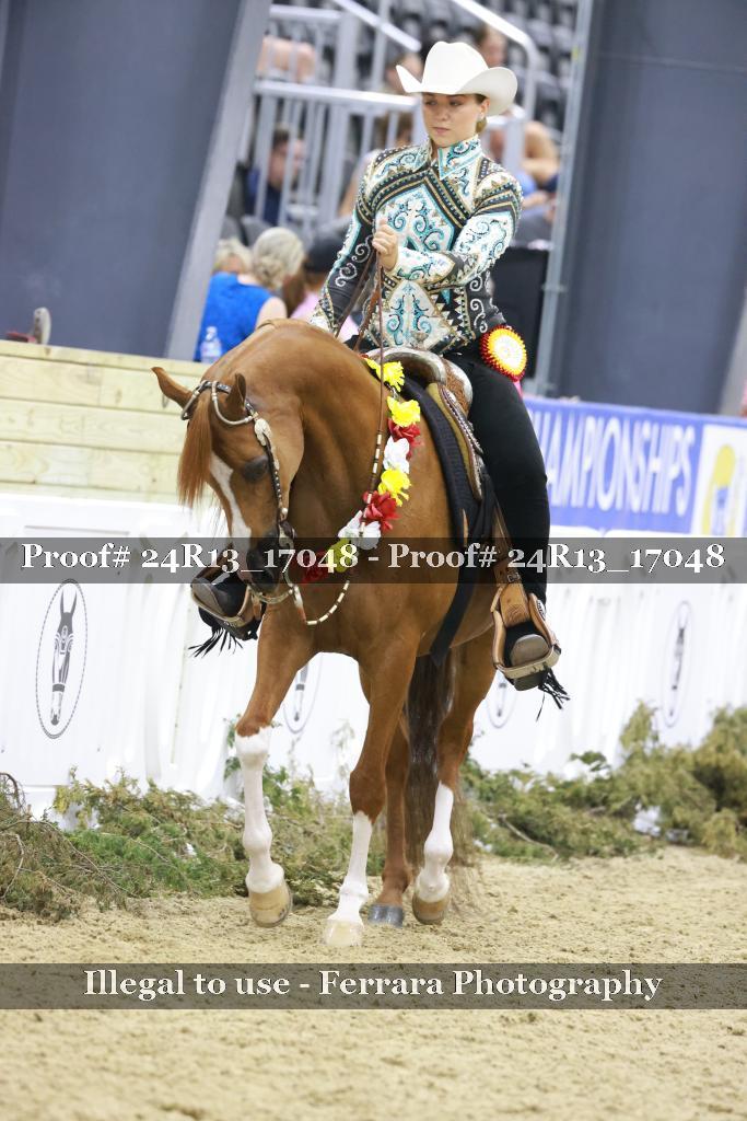 Proof 24R13_17048