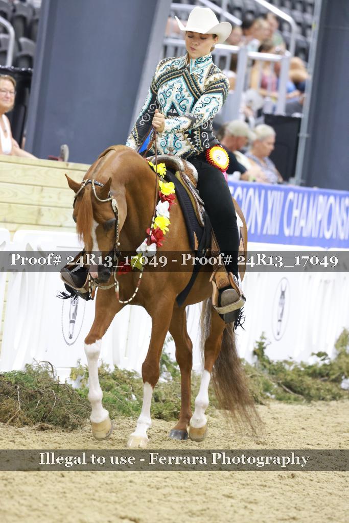 Proof 24R13_17049