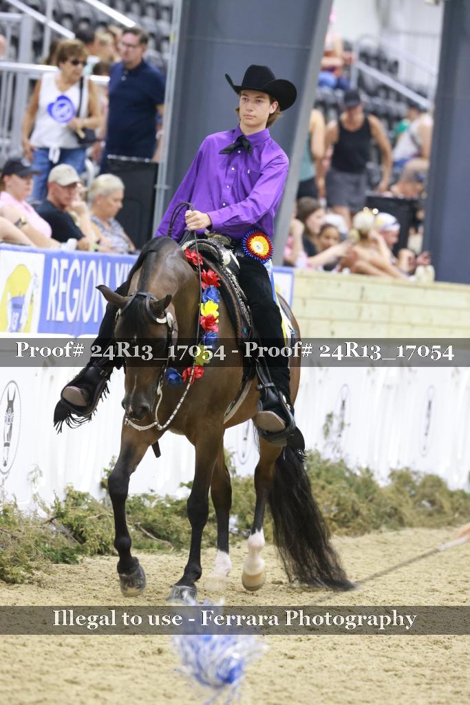 Proof 24R13_17054