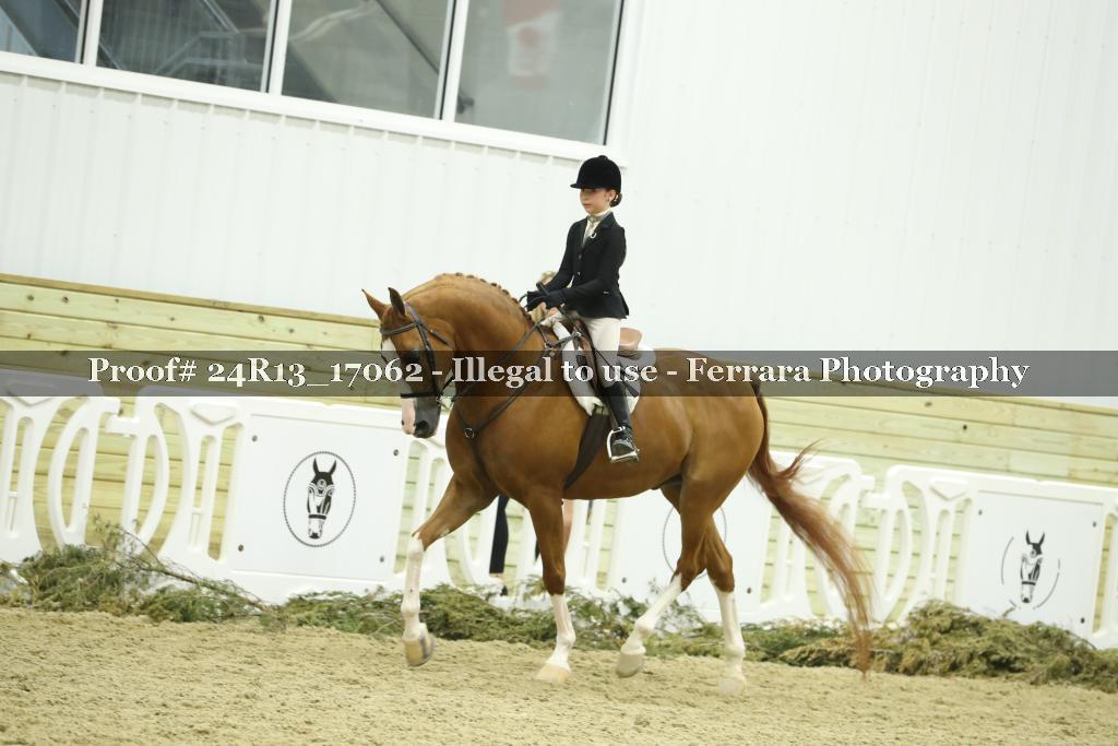 Proof 24R13_17062