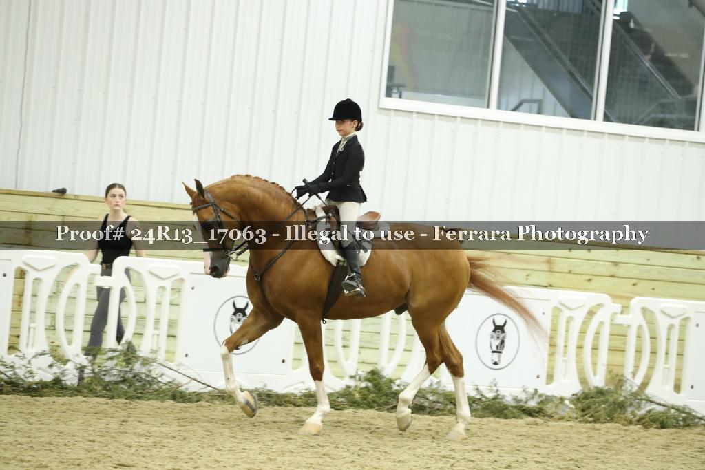 Proof 24R13_17063