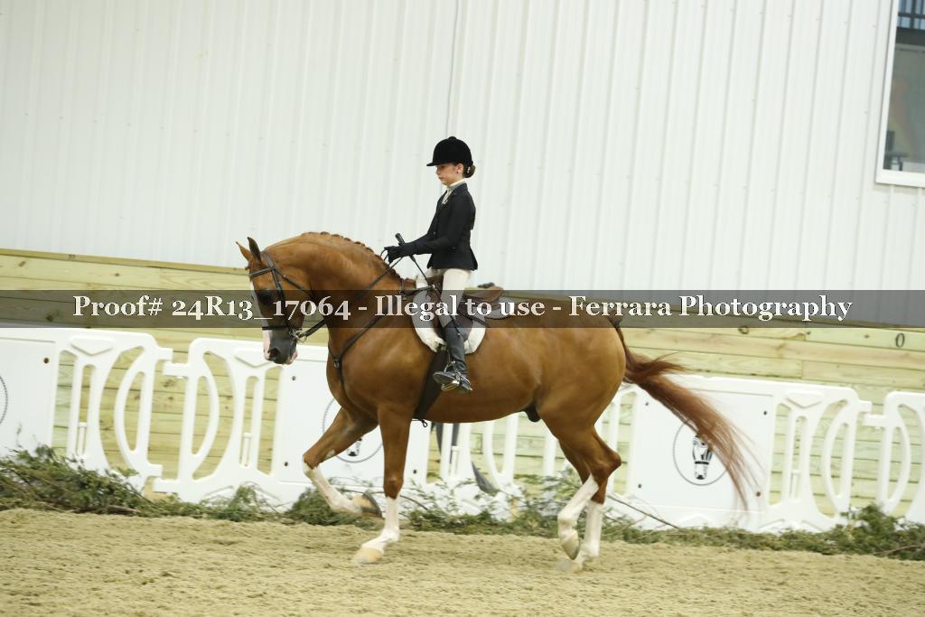 Proof 24R13_17064