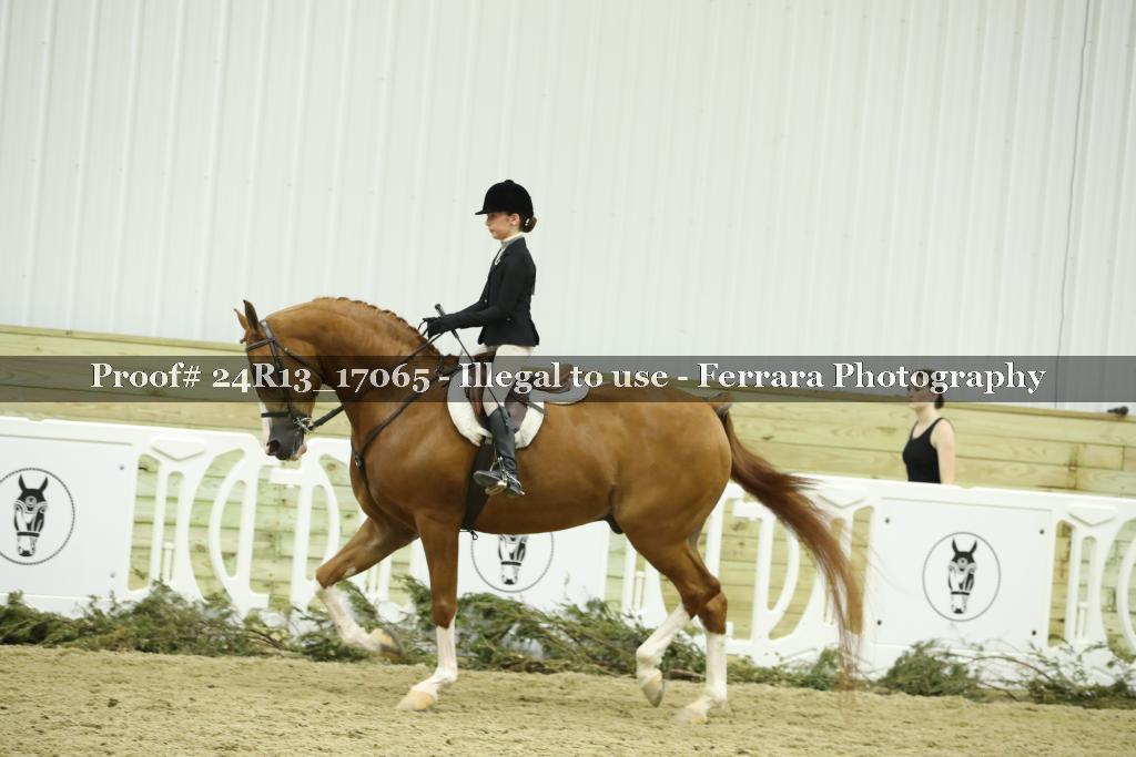 Proof 24R13_17065