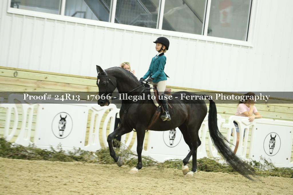 Proof 24R13_17066