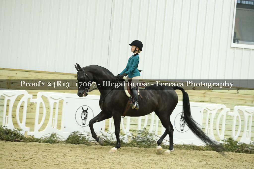 Proof 24R13_17067