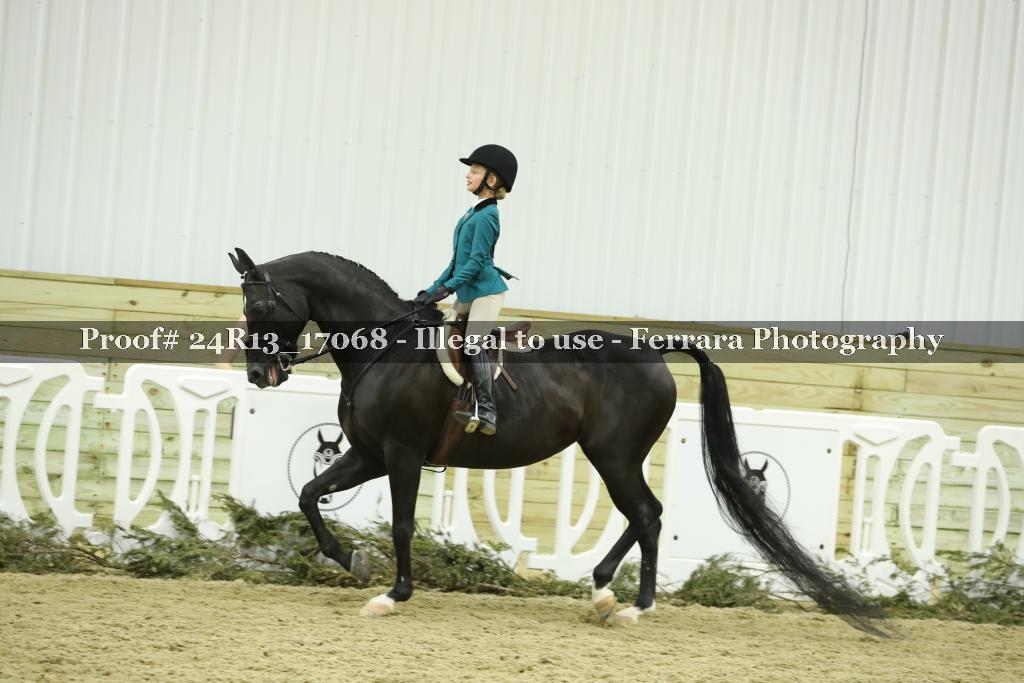 Proof 24R13_17068