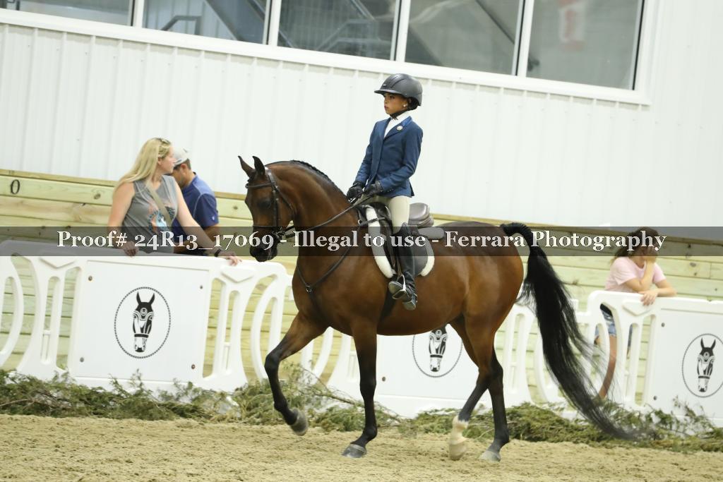 Proof 24R13_17069