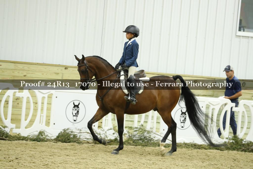 Proof 24R13_17070
