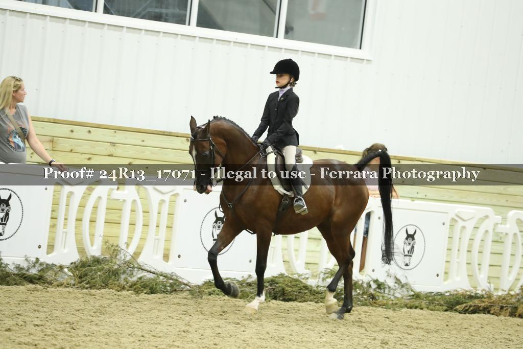 Proof 24R13_17071