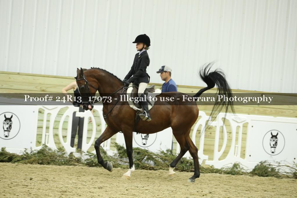 Proof 24R13_17073
