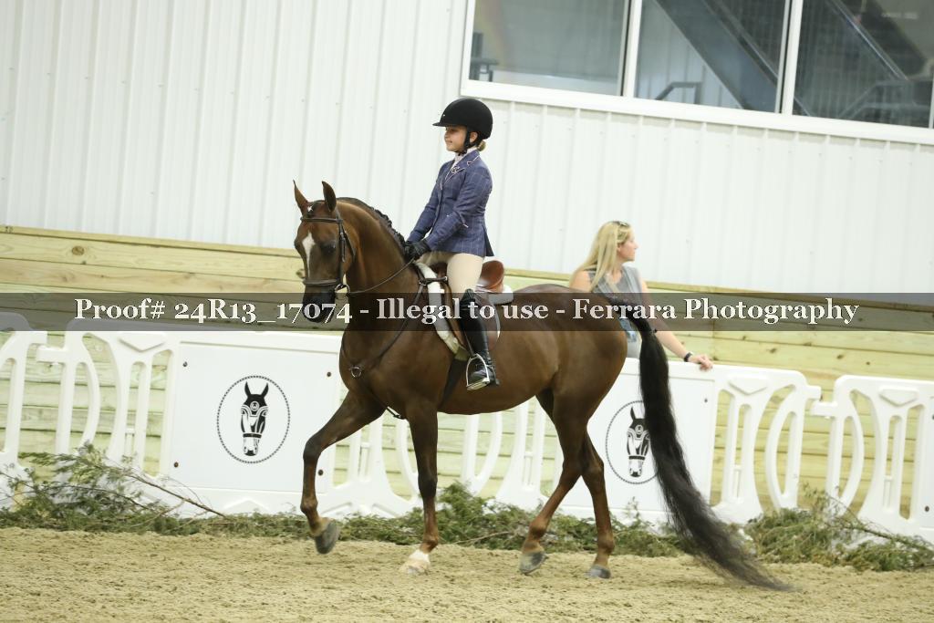 Proof 24R13_17074