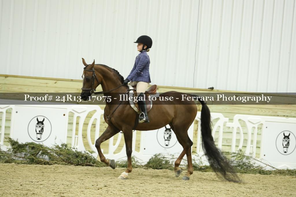 Proof 24R13_17075