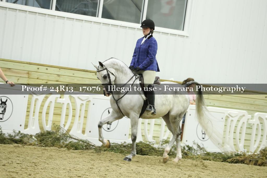 Proof 24R13_17076