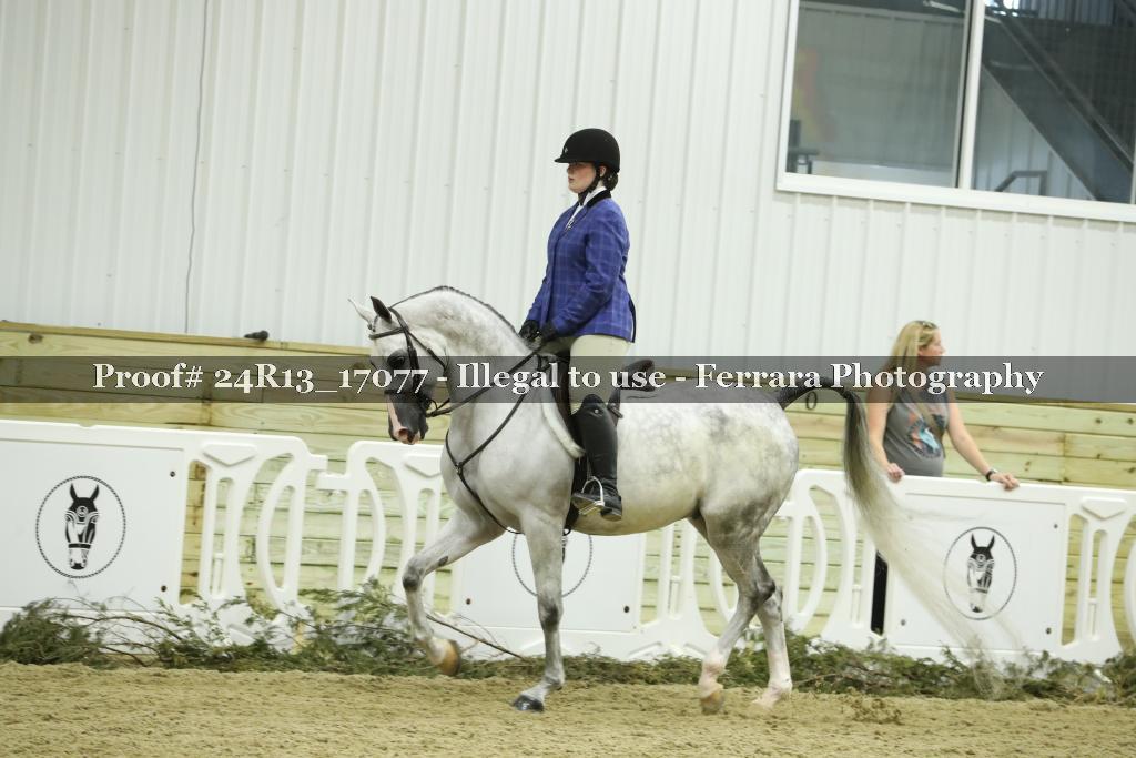 Proof 24R13_17077