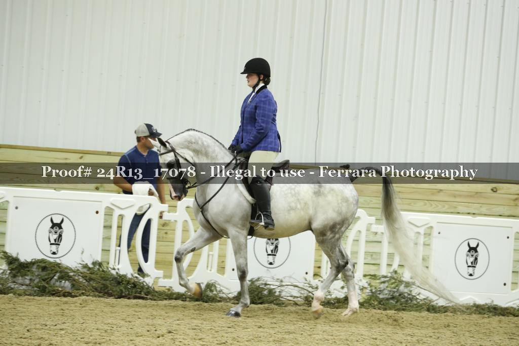 Proof 24R13_17078