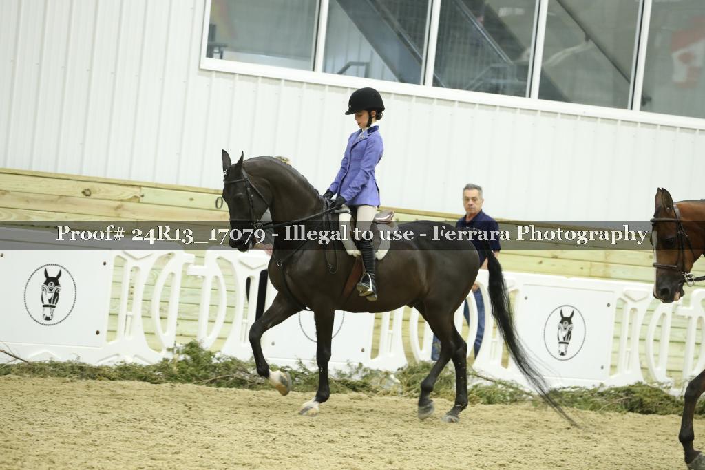 Proof 24R13_17079