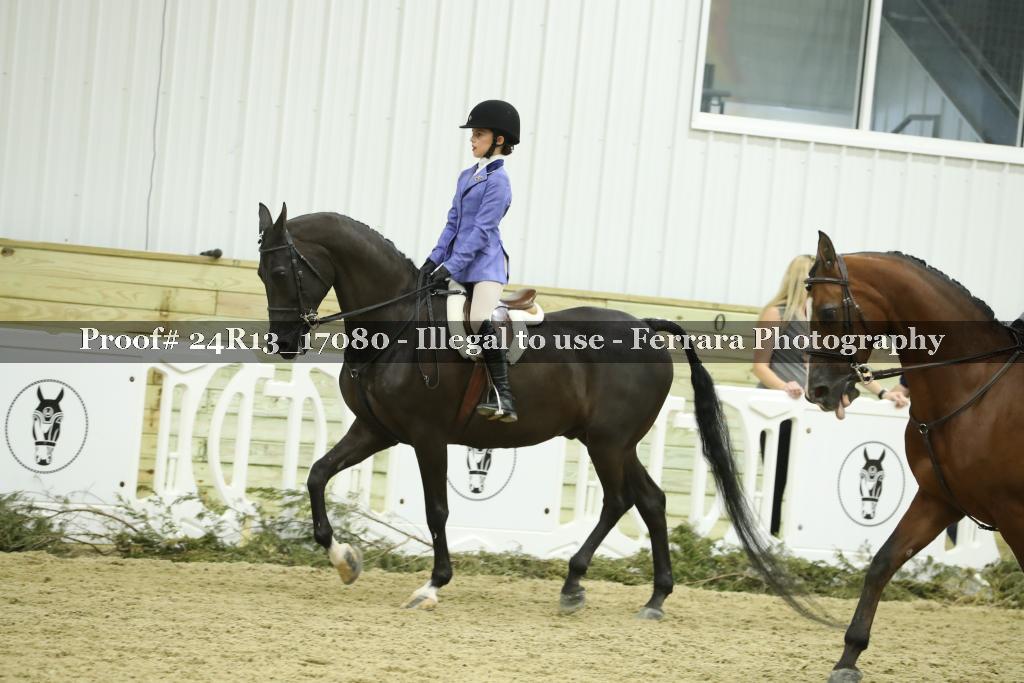 Proof 24R13_17080