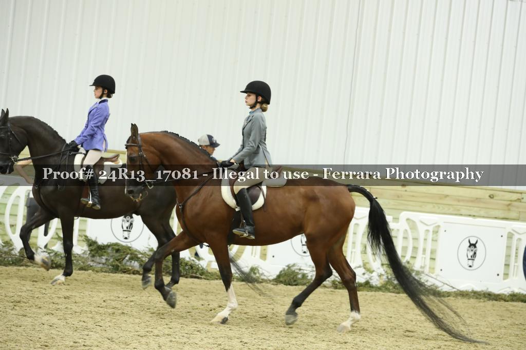 Proof 24R13_17081