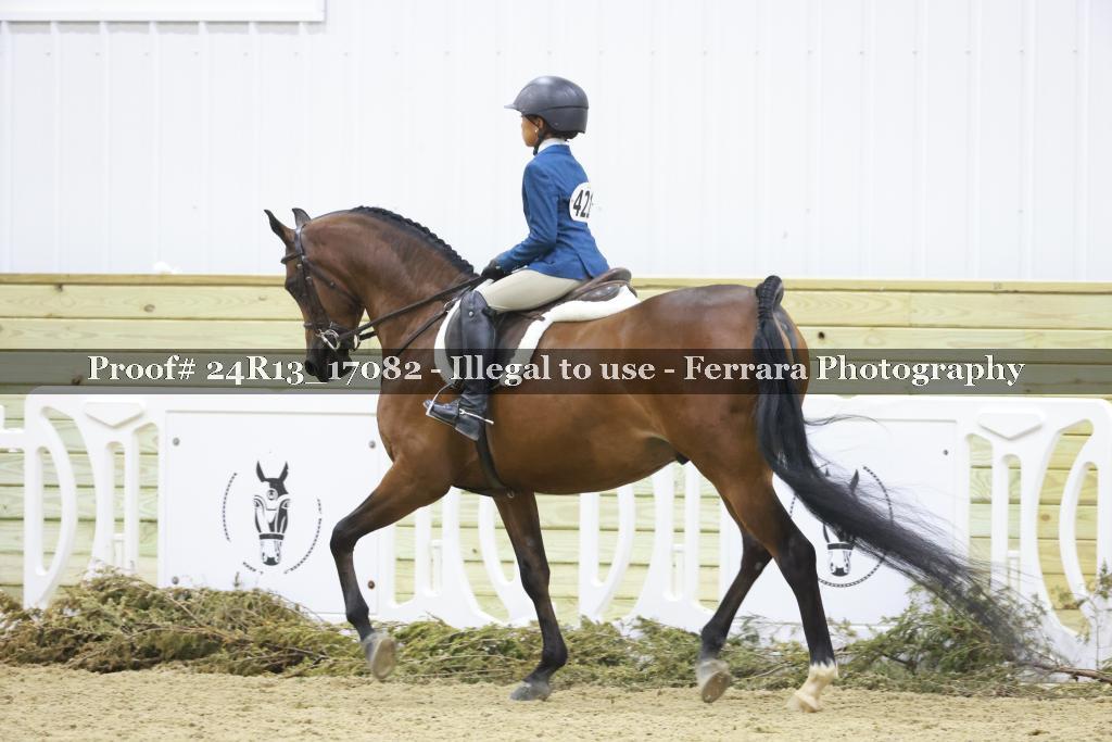 Proof 24R13_17082