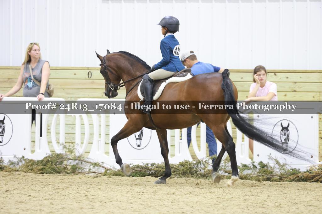 Proof 24R13_17084