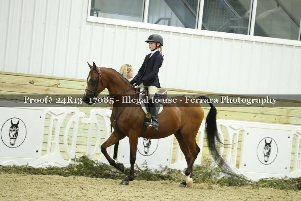 Proof 24R13_17085