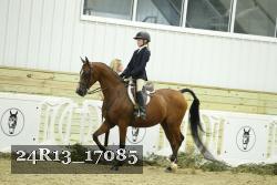 24R13_17085 proof