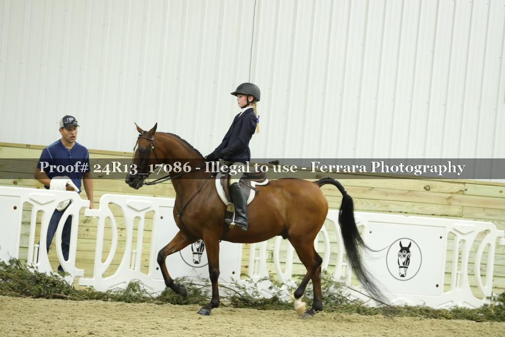 Proof 24R13_17086