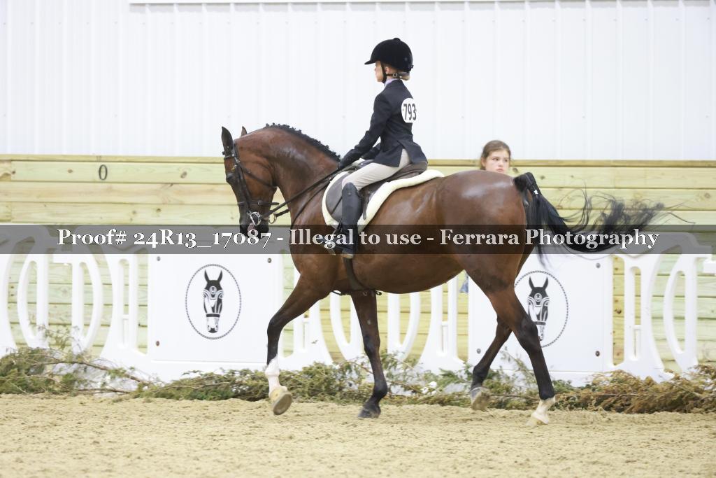 Proof 24R13_17087