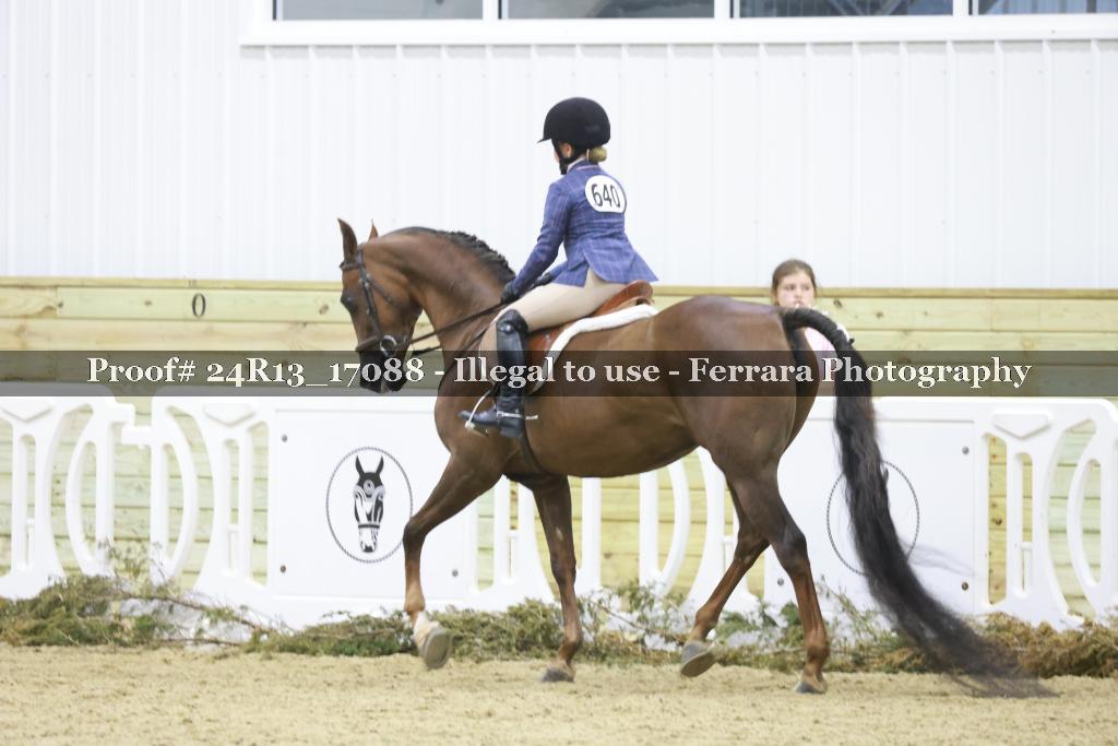 Proof 24R13_17088