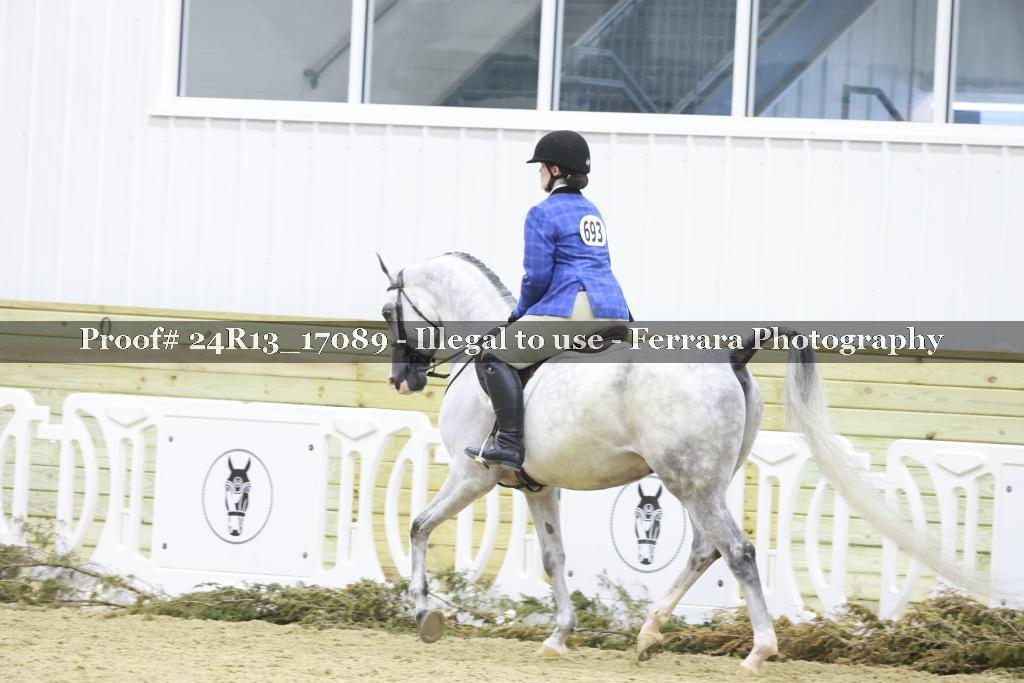 Proof 24R13_17089