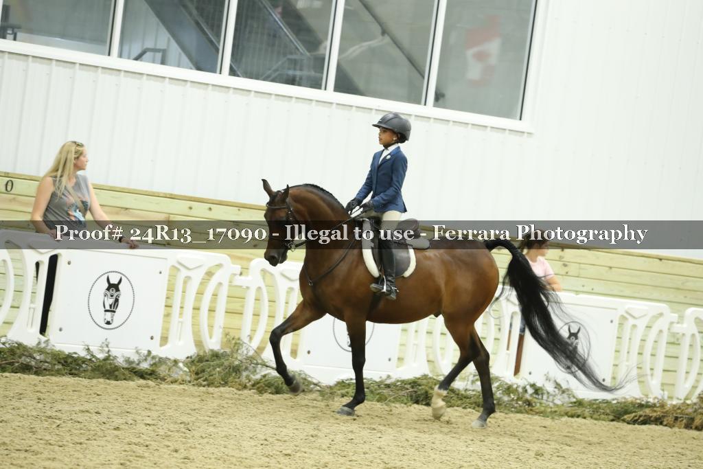 Proof 24R13_17090