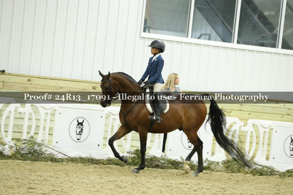 Proof 24R13_17091