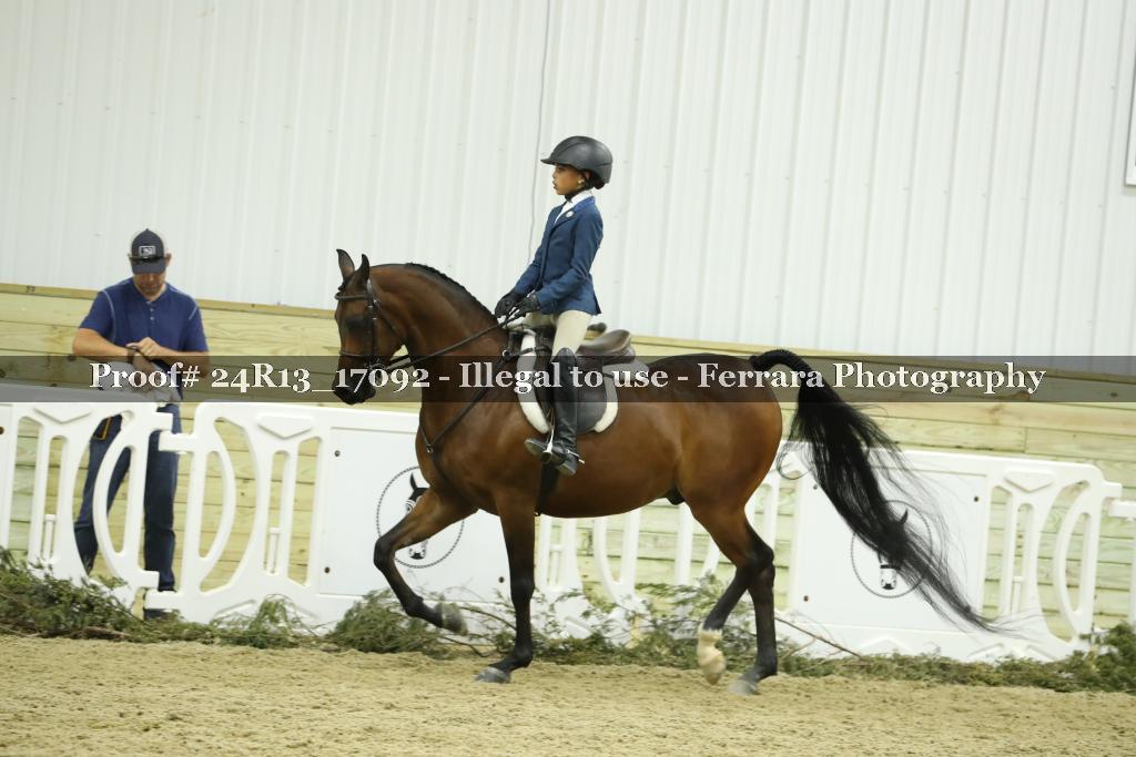Proof 24R13_17092