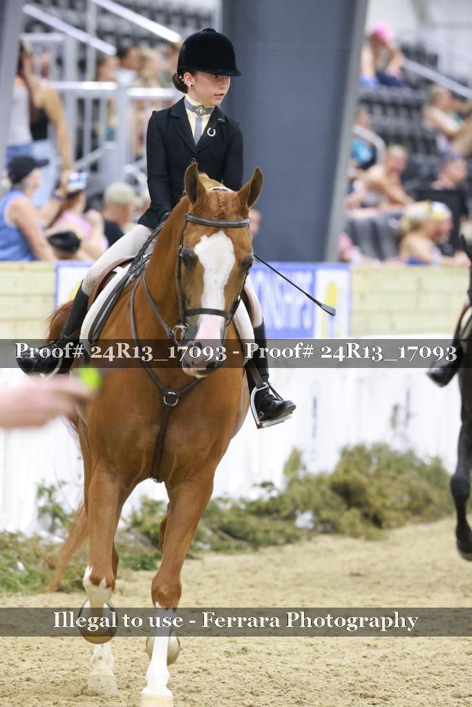 Proof 24R13_17093