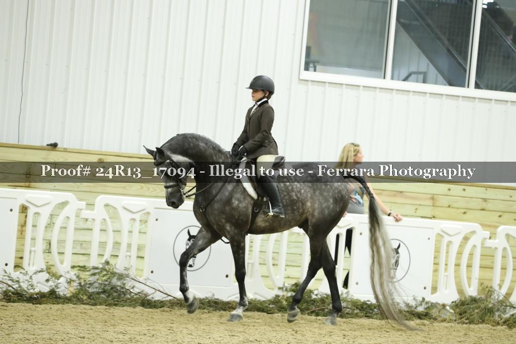 Proof 24R13_17094