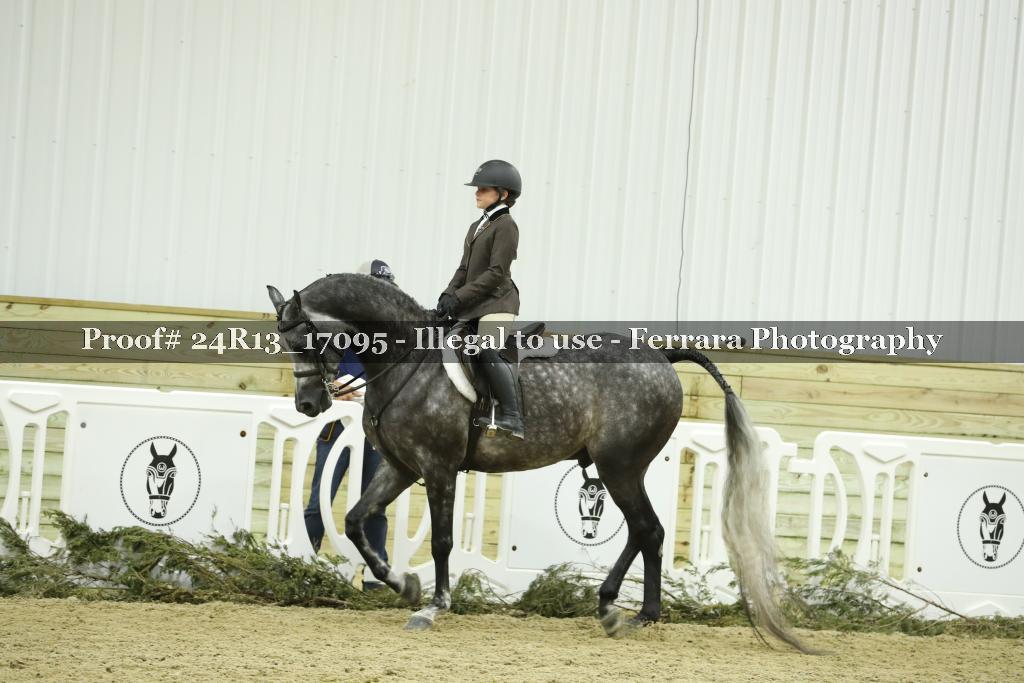 Proof 24R13_17095
