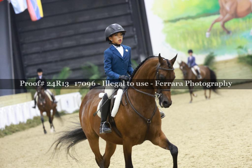 Proof 24R13_17096