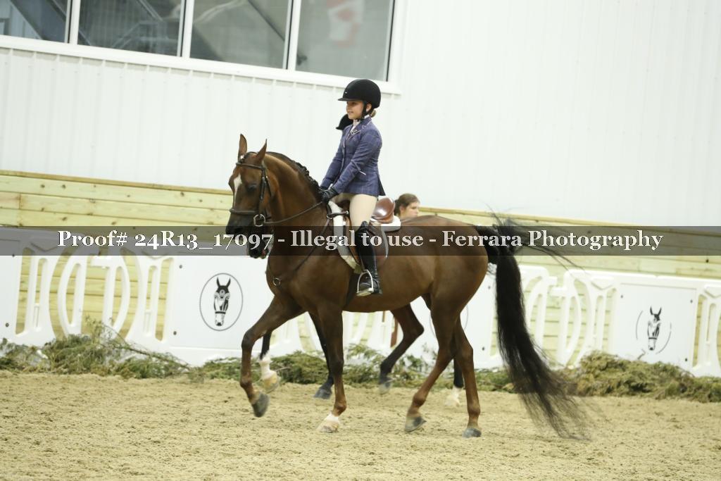 Proof 24R13_17097