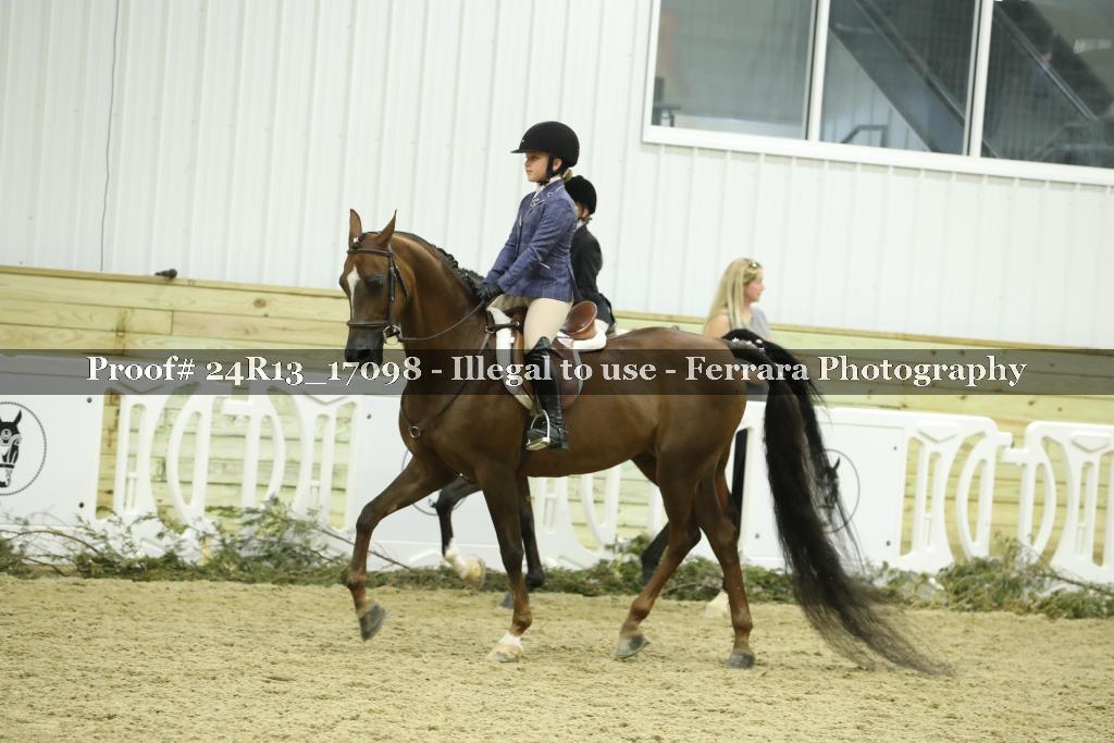 Proof 24R13_17098
