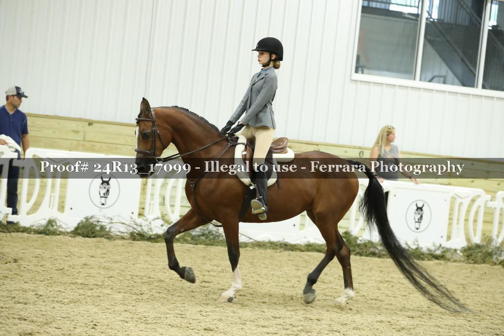 Proof 24R13_17099