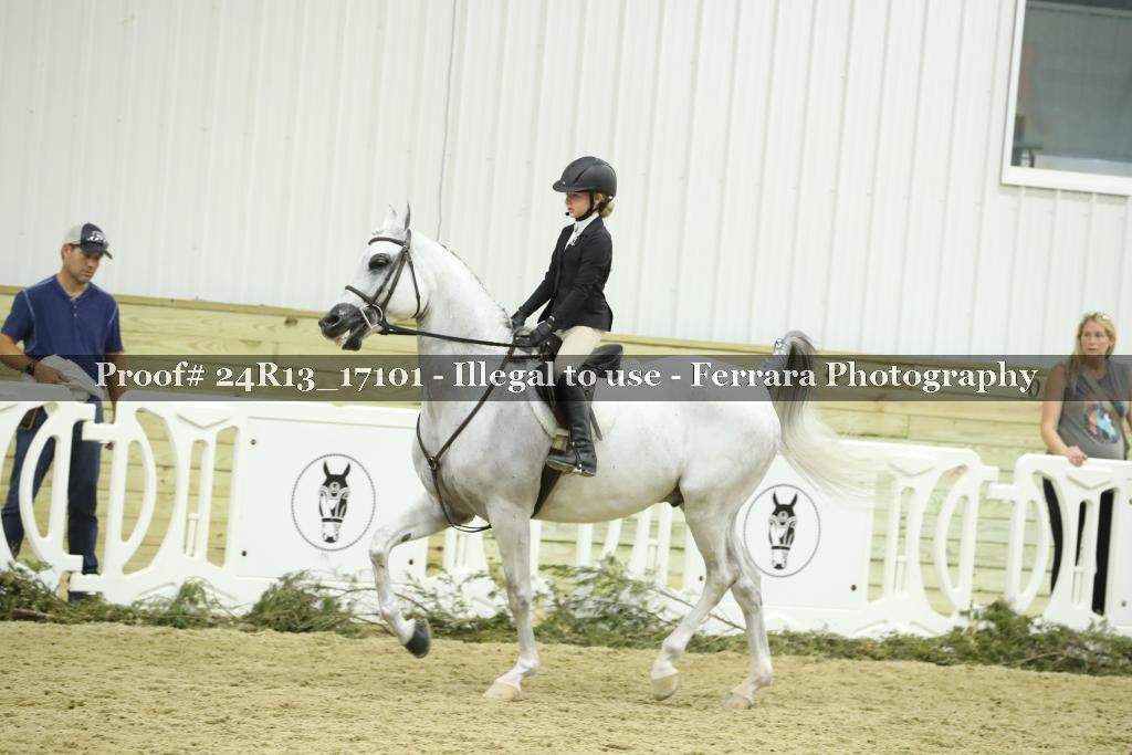 Proof 24R13_17101