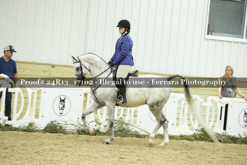 Proof 24R13_17102